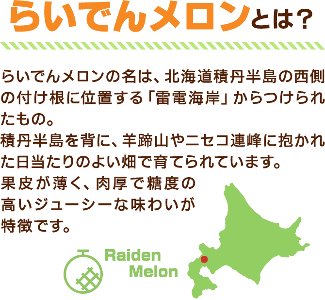 らいでんメロンソフトとは？らいでんメロンの名は、北海道積丹半島の西側の付け根に位置する「雷電半島」からつけられたもの。積丹半島を背に、羊蹄山やニセコ連峰に抱かれた日当たりのよい畑で育てられています。果皮が薄く、肉厚で糖度の高いジューシーな味わいが特徴です。